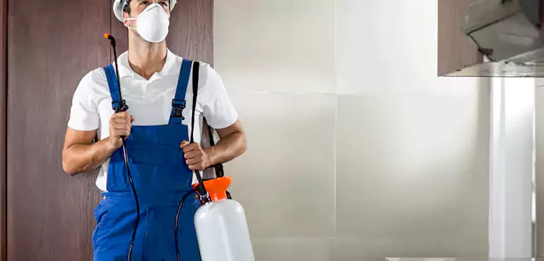 Why El Paso Homeowners Choose Us When Pests Make Selling Difficult