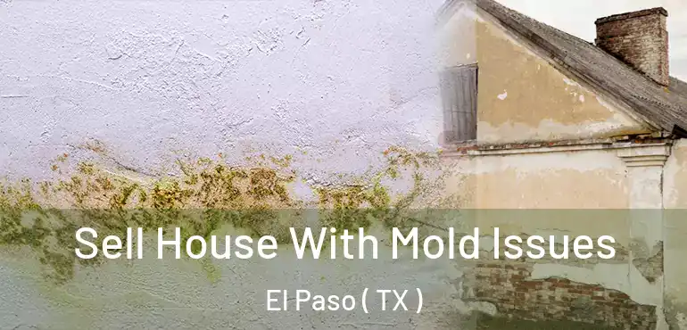  Sell House With Mold Issues El Paso ( TX )